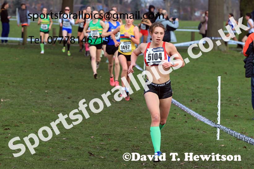 Womens Under-17s, 2024 CAU Inter Counties Cross Country Champs., Wollaton Park, Nottingham. Photo: David T. Hewitson/Sports for All Pics